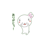 白いウサギのチロちゃん ver.2（個別スタンプ：31）