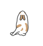 My dear Loofah（個別スタンプ：5）