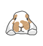 My dear Loofah（個別スタンプ：17）