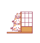 白猫団（個別スタンプ：37）