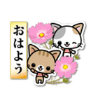 和風な猫ちゃん3♪日本の秋（個別スタンプ：1）