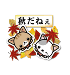 和風な猫ちゃん3♪日本の秋（個別スタンプ：3）