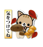 和風な猫ちゃん3♪日本の秋（個別スタンプ：27）