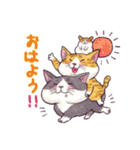 猫ばかり！！（個別スタンプ：13）