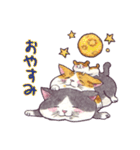 猫ばかり！！（個別スタンプ：14）