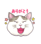 猫ばかり！！（個別スタンプ：31）