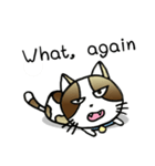 Thai Cat Cute（個別スタンプ：11）