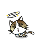 Thai Cat Cute（個別スタンプ：20）