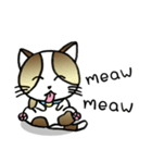 Thai Cat Cute（個別スタンプ：31）