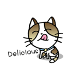 Thai Cat Cute（個別スタンプ：34）