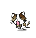 Thai Cat Cute（個別スタンプ：35）