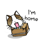 Thai Cat Cute（個別スタンプ：37）