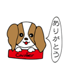 犬たちのあいさつ（個別スタンプ：1）