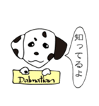 犬たちのあいさつ（個別スタンプ：10）