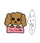 犬たちのあいさつ（個別スタンプ：15）