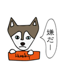 犬たちのあいさつ（個別スタンプ：27）