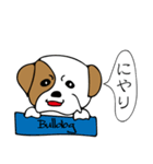 犬たちのあいさつ（個別スタンプ：28）