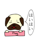 犬たちのあいさつ（個別スタンプ：31）