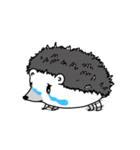 A little hedgehog！Cheese！（個別スタンプ：1）