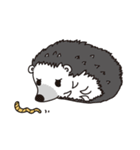 A little hedgehog！Cheese！（個別スタンプ：16）