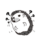 A little hedgehog！Cheese！（個別スタンプ：17）