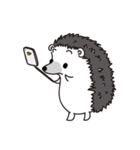A little hedgehog！Cheese！（個別スタンプ：25）
