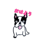 フレブル★まゆげ犬どん②（個別スタンプ：2）