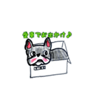 フレブル★まゆげ犬どん②（個別スタンプ：6）
