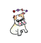 フレブル★まゆげ犬どん③（個別スタンプ：11）