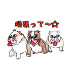 フレブル★まゆげ犬どん③（個別スタンプ：18）