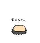 まんまるどうぶつ（個別スタンプ：34）