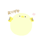 Piyo！！（個別スタンプ：13）