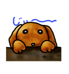 といぷー！ちゃん（個別スタンプ：5）