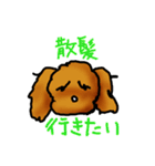 といぷー！ちゃん（個別スタンプ：23）