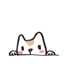 Cat say！（個別スタンプ：19）