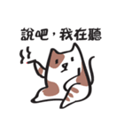 Cat say！（個別スタンプ：20）