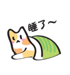 Cat say！（個別スタンプ：39）