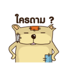 homeless bear（個別スタンプ：11）