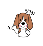 Cooper The Beagle Dog TH（個別スタンプ：2）