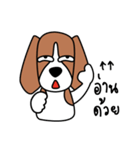 Cooper The Beagle Dog TH（個別スタンプ：3）