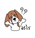 Cooper The Beagle Dog TH（個別スタンプ：12）