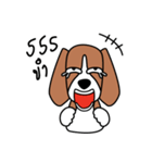 Cooper The Beagle Dog TH（個別スタンプ：13）