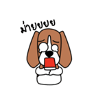 Cooper The Beagle Dog TH（個別スタンプ：19）