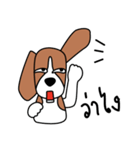 Cooper The Beagle Dog TH（個別スタンプ：20）