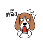 Cooper The Beagle Dog TH（個別スタンプ：22）