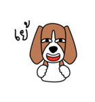 Cooper The Beagle Dog TH（個別スタンプ：25）