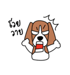 Cooper The Beagle Dog TH（個別スタンプ：28）