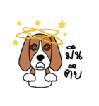 Cooper The Beagle Dog TH（個別スタンプ：31）