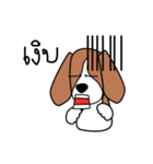 Cooper The Beagle Dog TH（個別スタンプ：34）