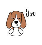 Cooper The Beagle Dog TH（個別スタンプ：38）